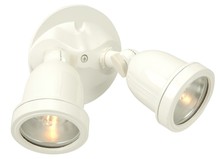 Outdoor Directional Lights